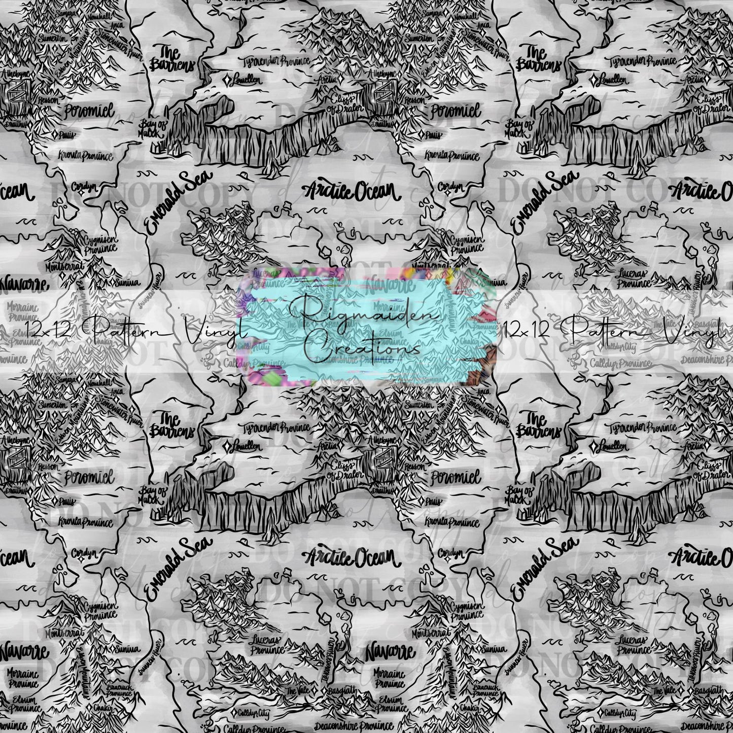 Fourth Wing Map Black and White Vinyl